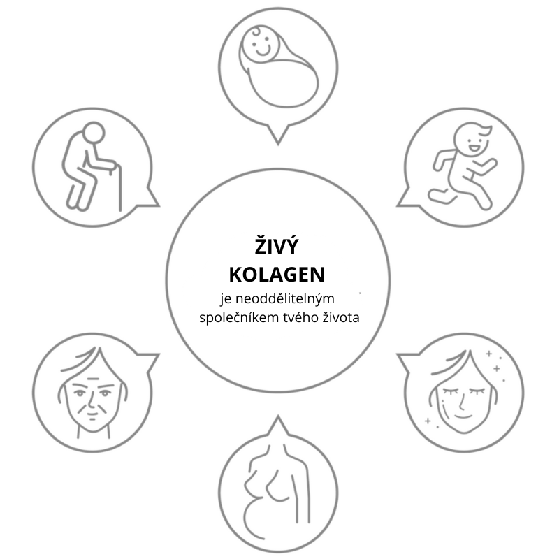 ŽIVÝ KOLAGEN je neoddělitelným společníkem tvého života